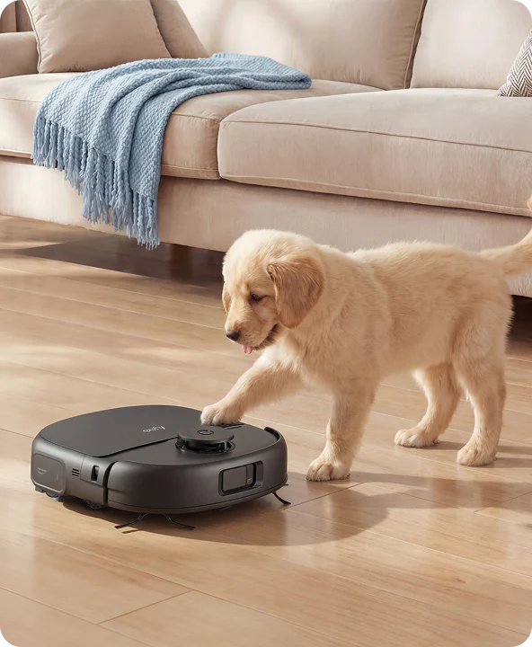 Which is the best vacuum cleaner to buy? 22d9beef e0b2 4cae 9142 a765692b6148 e e c e 10 3840x